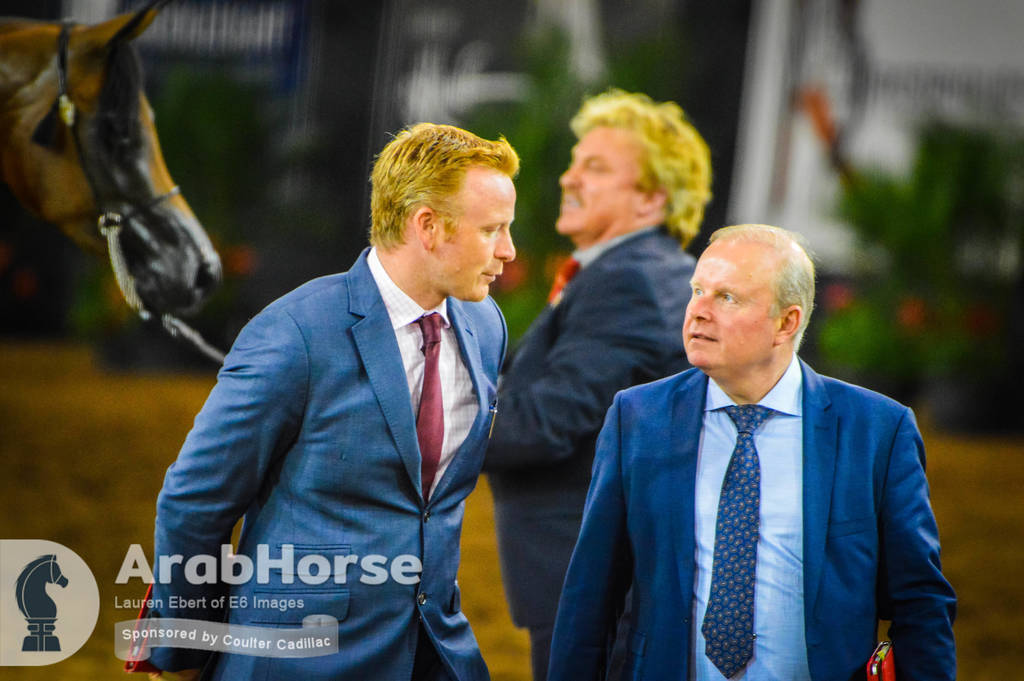 Arabian National Breeder Finals - 2017