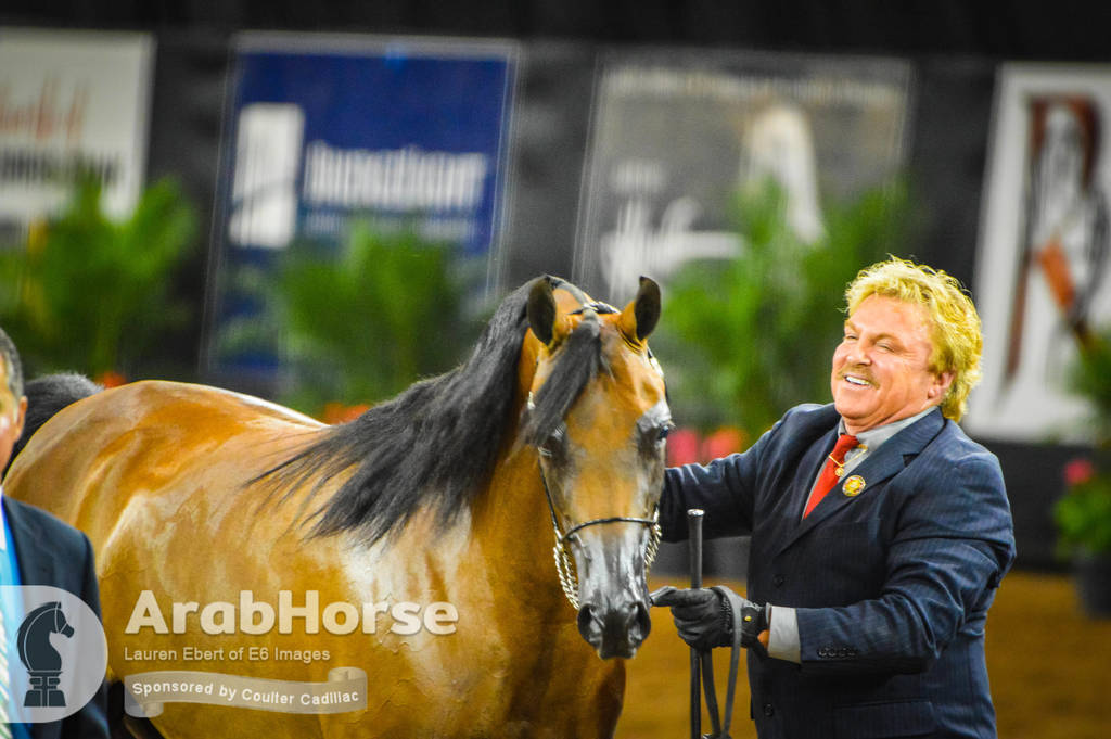 Arabian National Breeder Finals - 2017