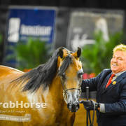 Arabian National Breeder Finals - 2017
