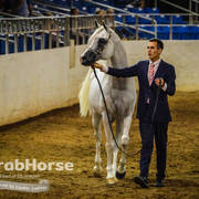 Arabian National Breeder Finals - 2017