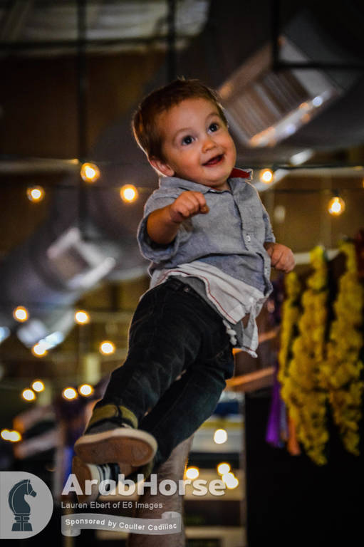 Arabian National Breeder Finals - 2017