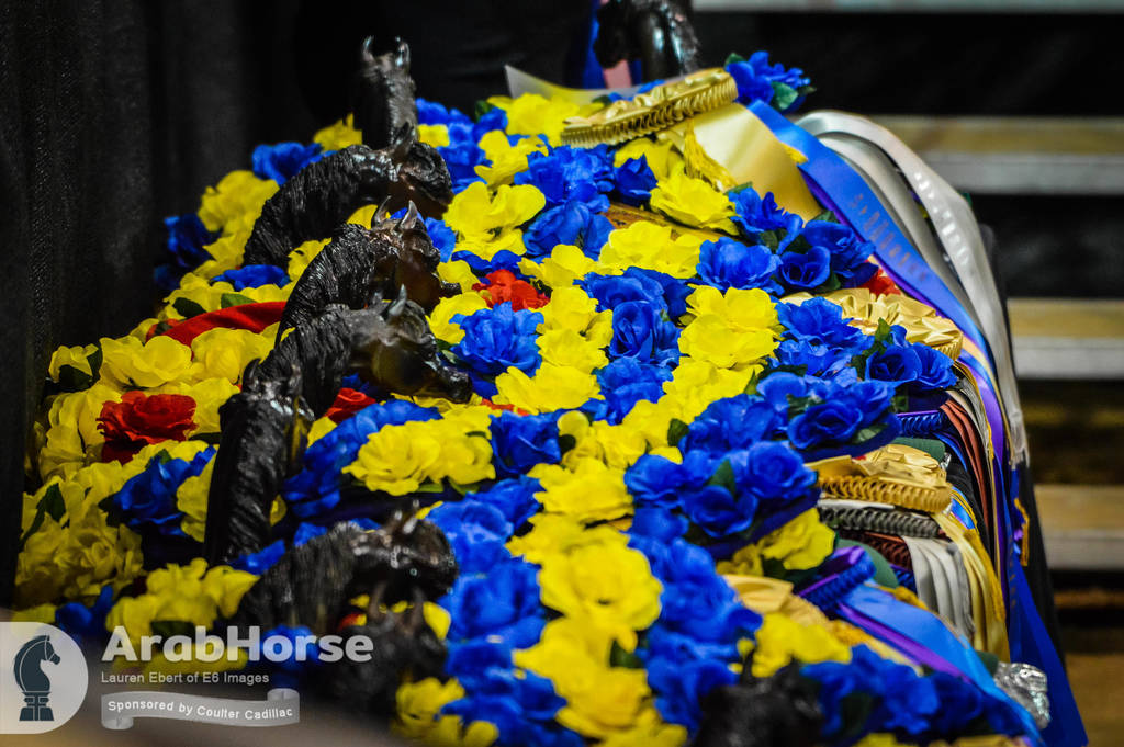 Arabian National Breeder Finals - 2017