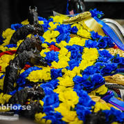 Arabian National Breeder Finals - 2017