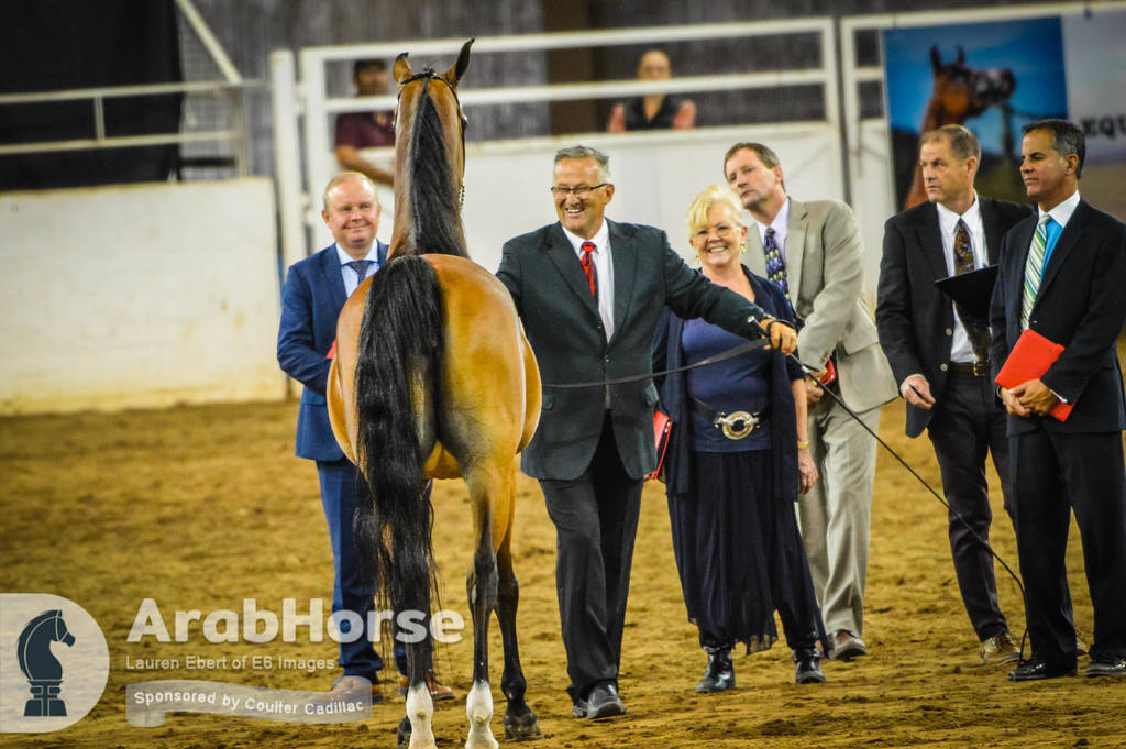 Arabian National Breeder Finals - 2017