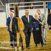 Arabian National Breeder Finals - 2017