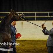 Arabian National Breeder Finals - 2017