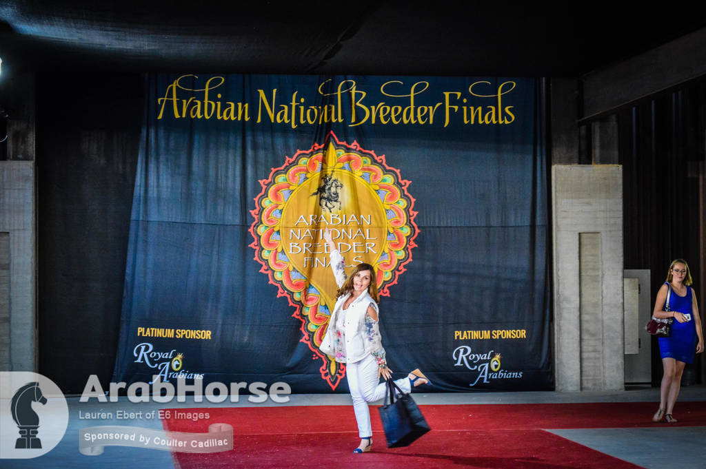 Arabian National Breeder Finals - 2017