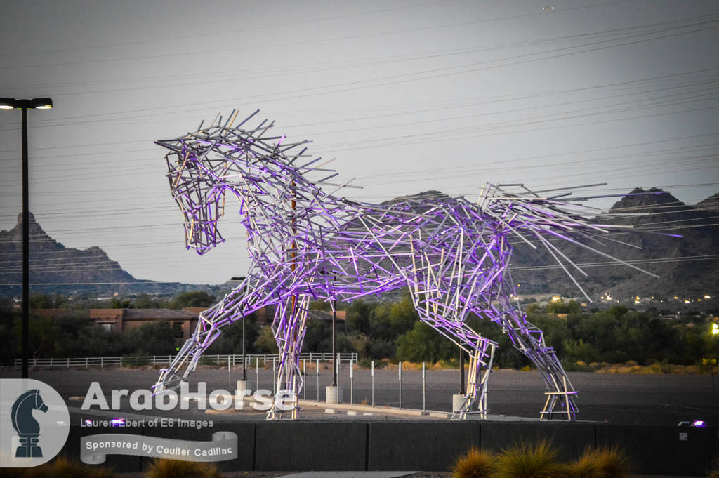 Arabian National Breeder Finals - 2017