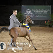 Arabian National Breeder Finals - 2017