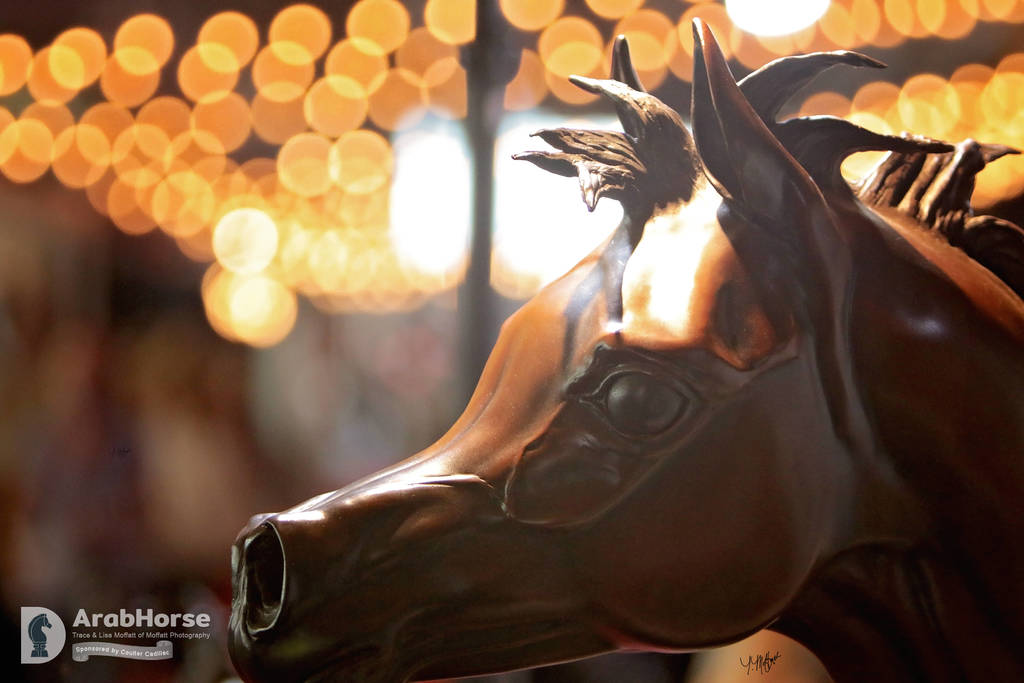 Arabian National Breeder Finals - 2017