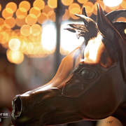 Arabian National Breeder Finals - 2017