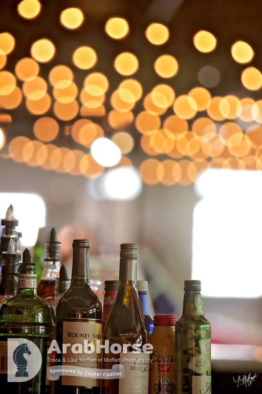 Arabian National Breeder Finals - 2017