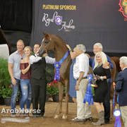 Arabian National Breeder Finals - 2017