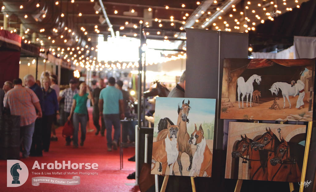 Arabian National Breeder Finals - 2017