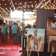 Arabian National Breeder Finals - 2017