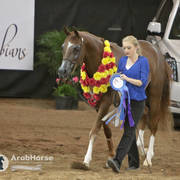 Arabian National Breeder Finals - 2017