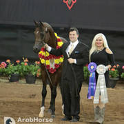 Arabian National Breeder Finals - 2017