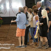 Arabian National Breeder Finals - 2017