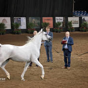 Arabian National Breeder Finals - 2017