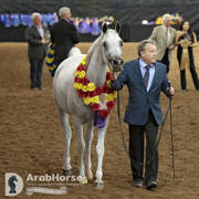 Arabian National Breeder Finals - 2017