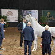 Arabian National Breeder Finals - 2017