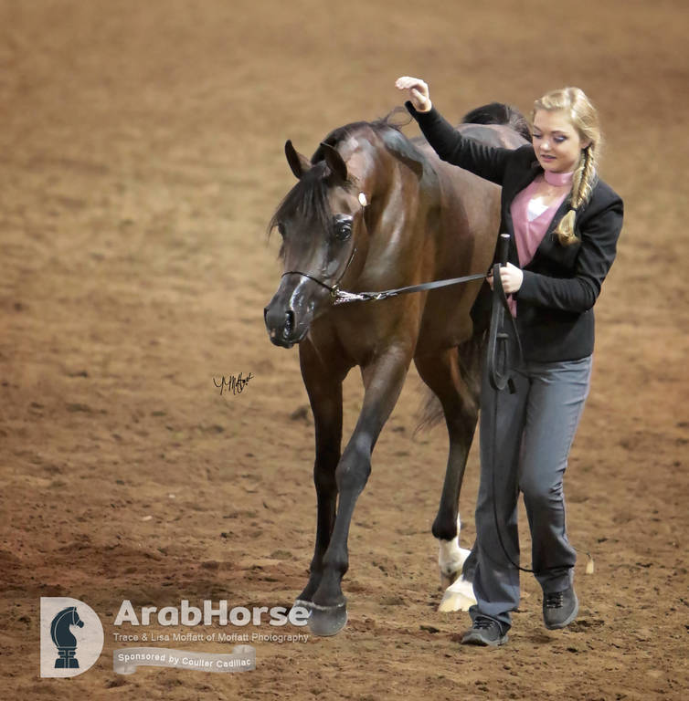 Arabian National Breeder Finals - 2017