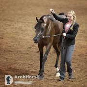 Arabian National Breeder Finals - 2017