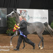 Arabian National Breeder Finals - 2017