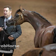 Arabian National Breeder Finals - 2017