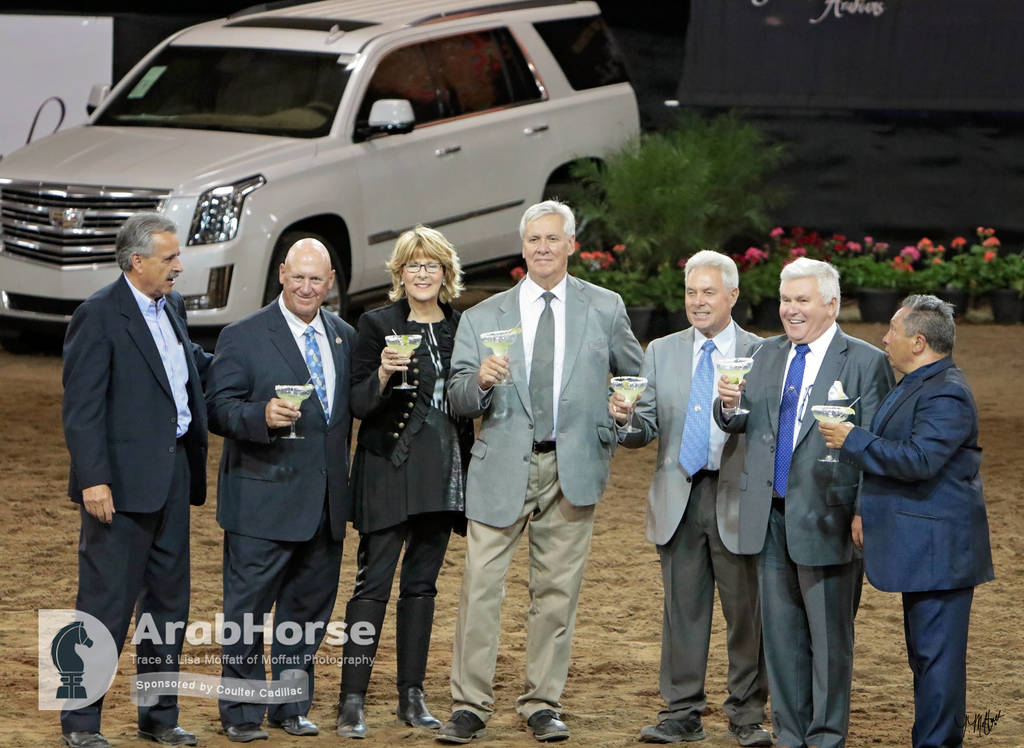 Arabian National Breeder Finals - 2017