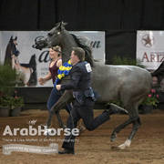 Arabian National Breeder Finals - 2017