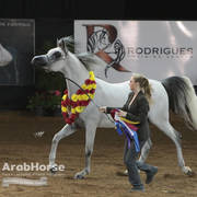 Arabian National Breeder Finals - 2017
