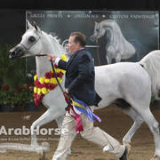 Arabian National Breeder Finals - 2017