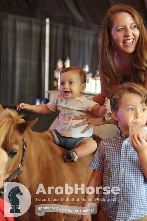 Arabian National Breeder Finals - 2017