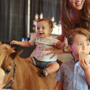 Arabian National Breeder Finals - 2017