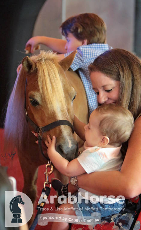 Arabian National Breeder Finals - 2017