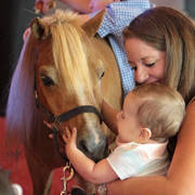 Arabian National Breeder Finals - 2017