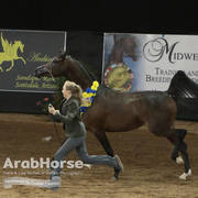Arabian National Breeder Finals - 2017