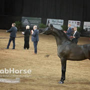 Arabian National Breeder Finals - 2017