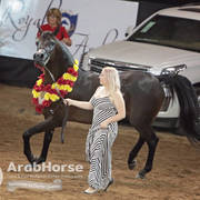 Arabian National Breeder Finals - 2017