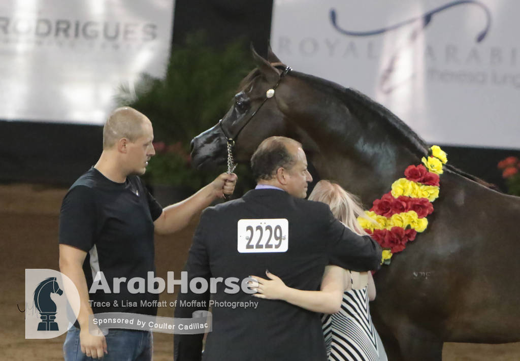 Arabian National Breeder Finals - 2017