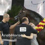 Arabian National Breeder Finals - 2017