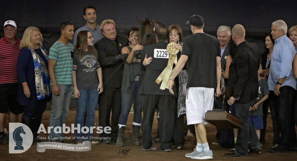 Arabian National Breeder Finals - 2017