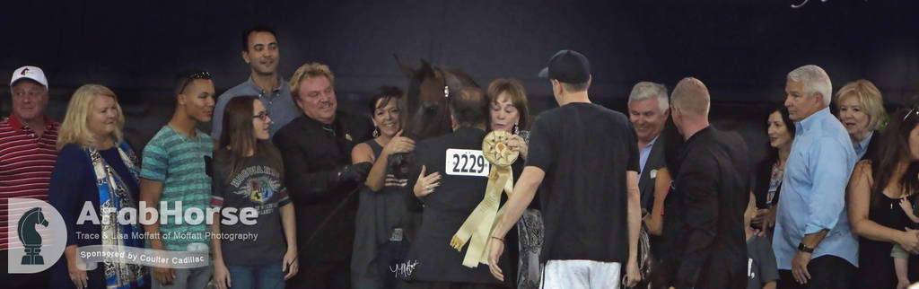 Arabian National Breeder Finals - 2017