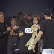 Arabian National Breeder Finals - 2017