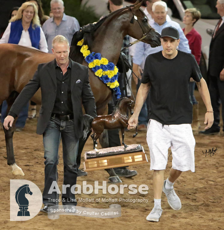 Arabian National Breeder Finals - 2017