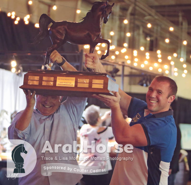 Arabian National Breeder Finals - 2017