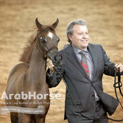Arabian National Breeder Finals - 2017
