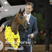 Arabian National Breeder Finals - 2017