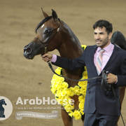 Arabian National Breeder Finals - 2017